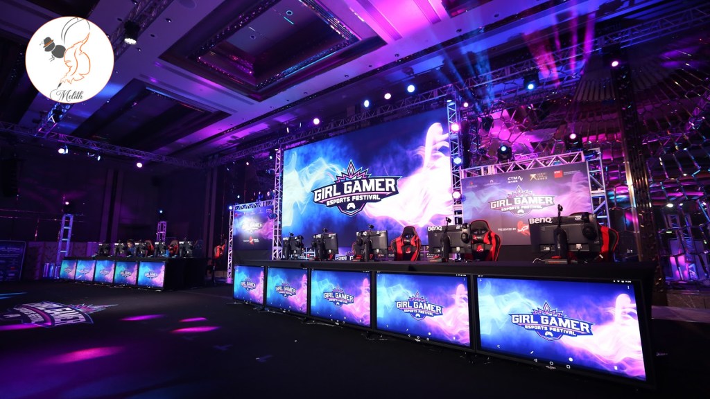 Ligues féminines dans l&rsquo;eSport : un pas en avant ou deux en arrière&nbsp;?